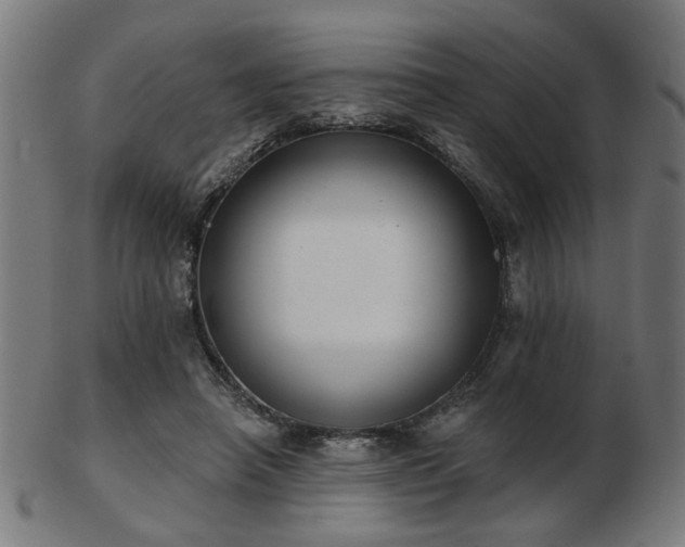 X0000103420450200809121311