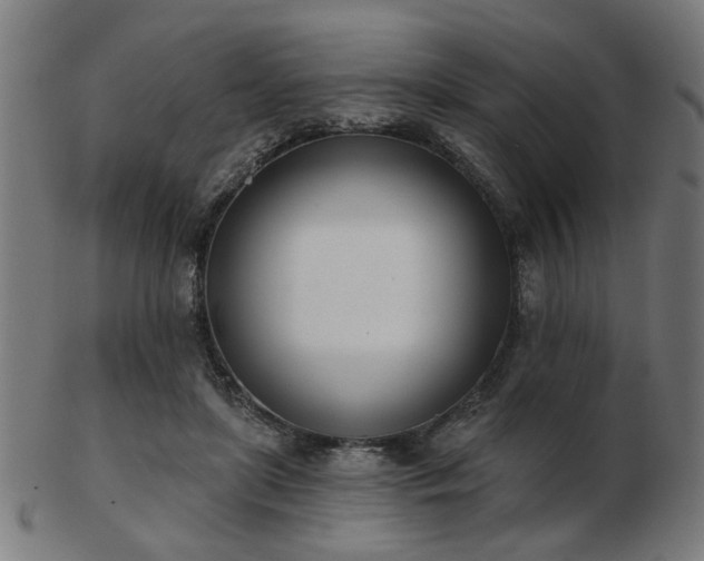 X0000103420451200809121311