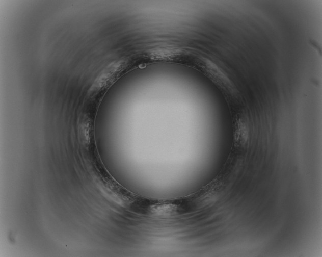 X0000103420452200809121311