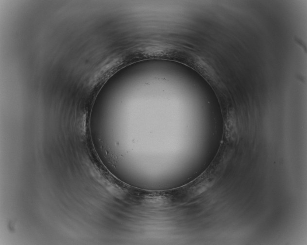 X0000103420454200809121311