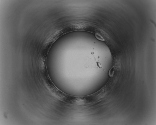 X0000103420456200809121311