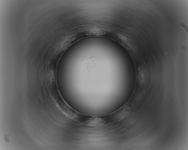 X0000103420459200809121311