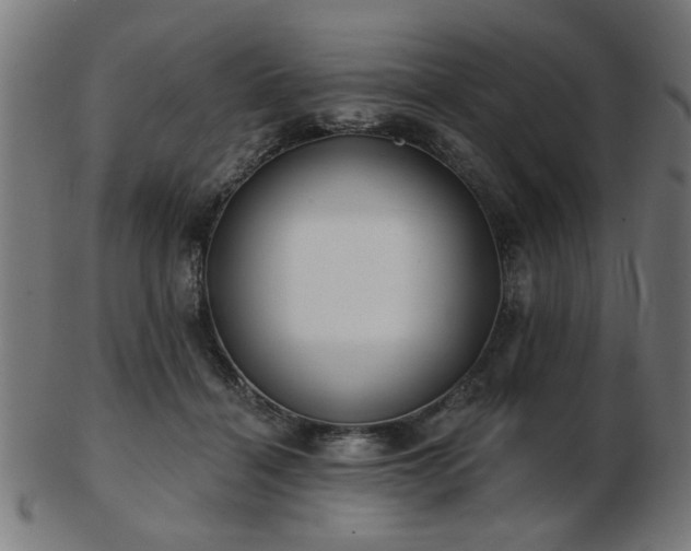 X0000103420460200809121311
