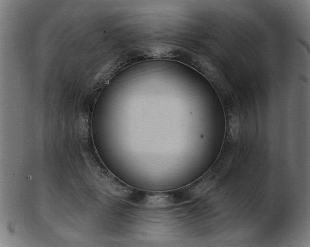 X0000103420461200809121311