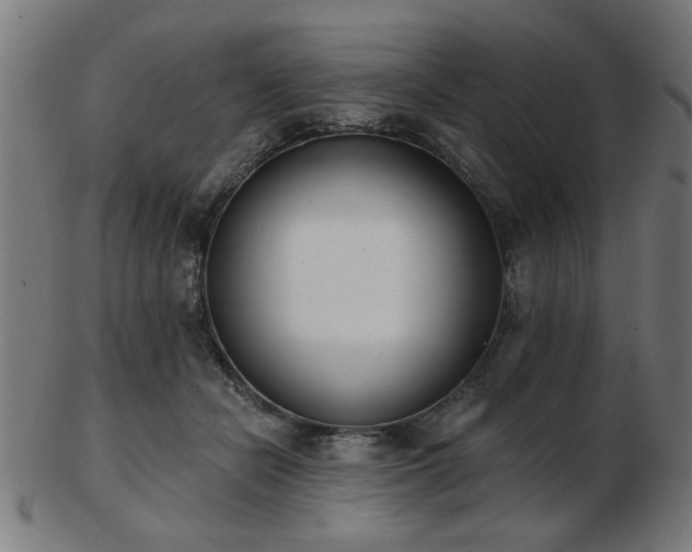 X0000103420462200809121311