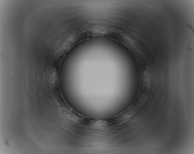 X0000103420463200809121311