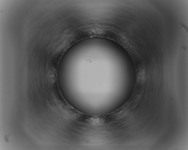 X0000103420464200809121311