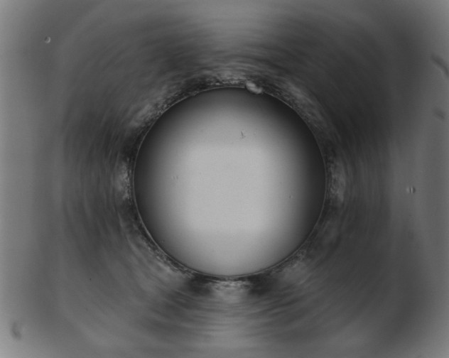 X0000103420465200809121311