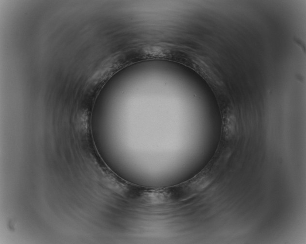 X0000103420466200809121311