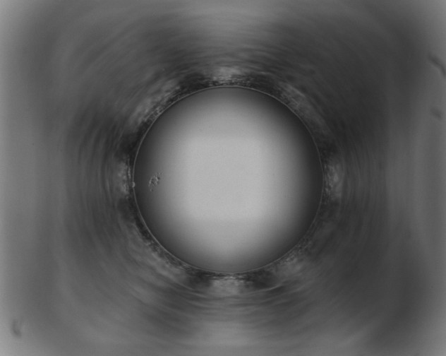 X0000103420470200809121311