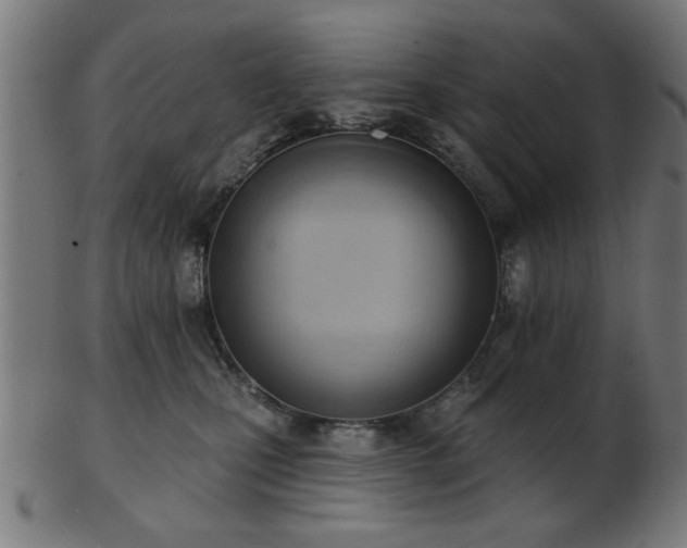 X0000103420471200809121311