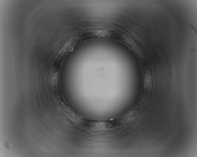 X0000103420473200809121311