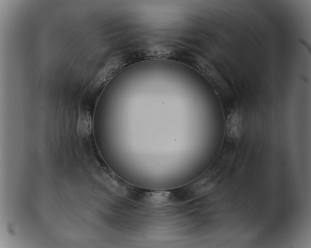 X0000103420474200809121311