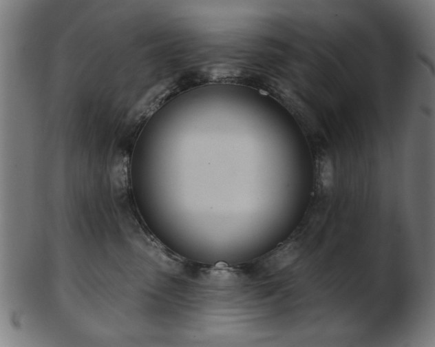 X0000103420475200809121311