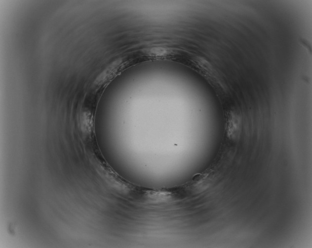 X0000103420476200809121311