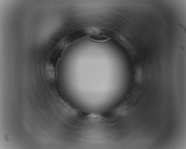 X0000103420477200809121311