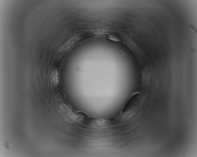 X0000103420479200809121311
