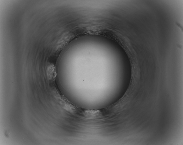 X0000103420480200809121311