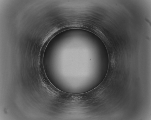 X0000103420484200809121310