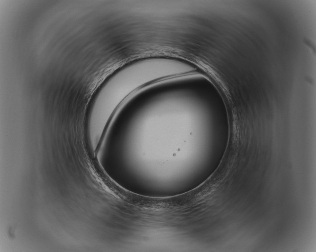 X0000103420485200809121310