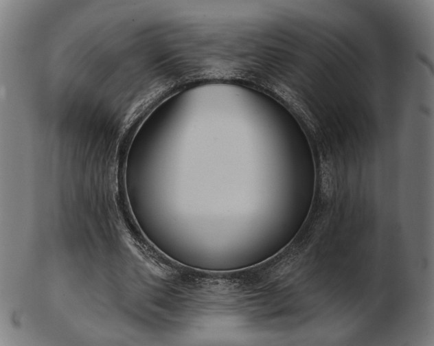 X0000103420486200809121310