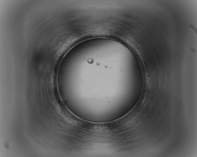 X0000103420487200809121310