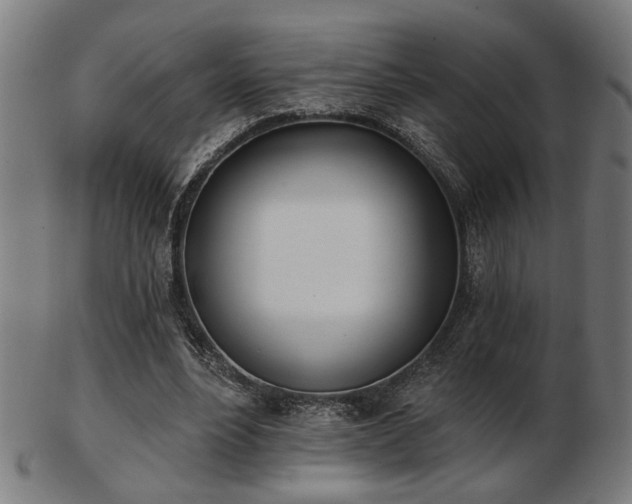 X0000103420488200809121310