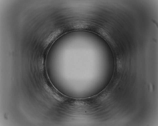 X0000103420490200809121310