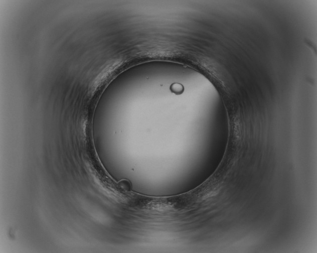 X0000103420491200809121310