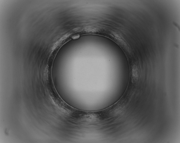 X0000103420492200809121310