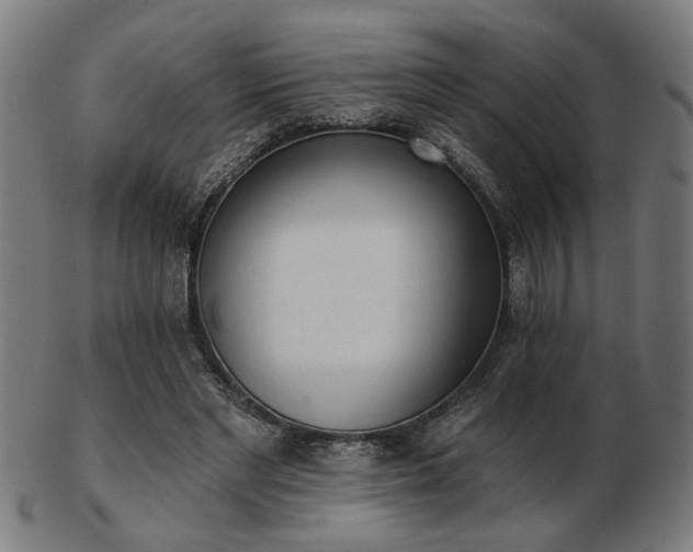 X0000103420493200809121310