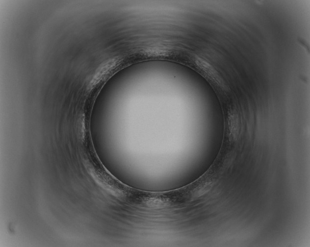X0000103420494200809121310