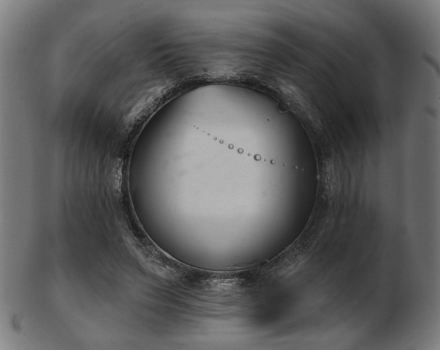 X0000103420495200809121310