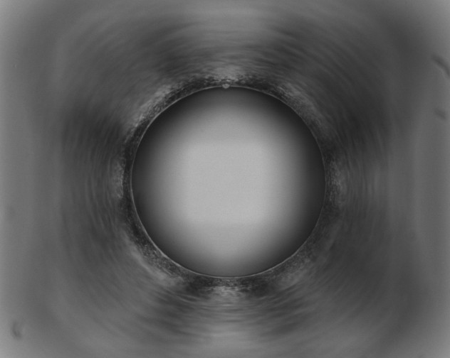 X0000103420496200809121310