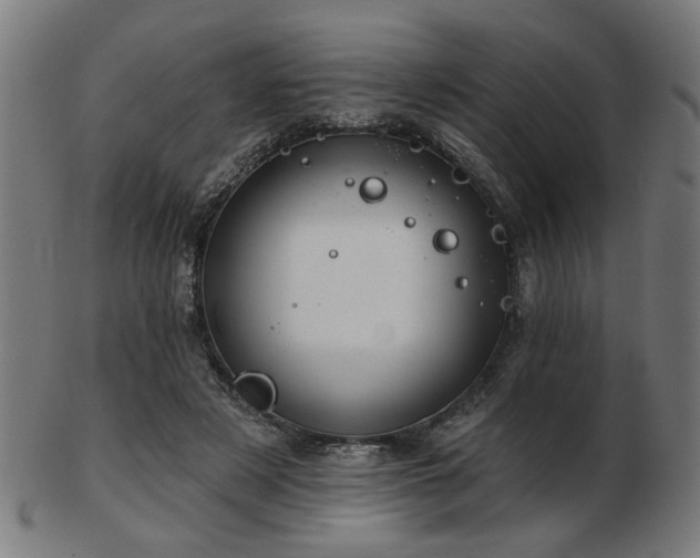 X0000103420497200809121310