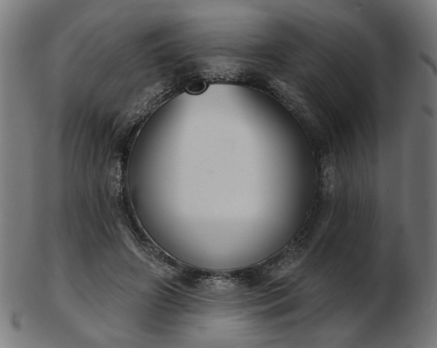 X0000103420498200809121310