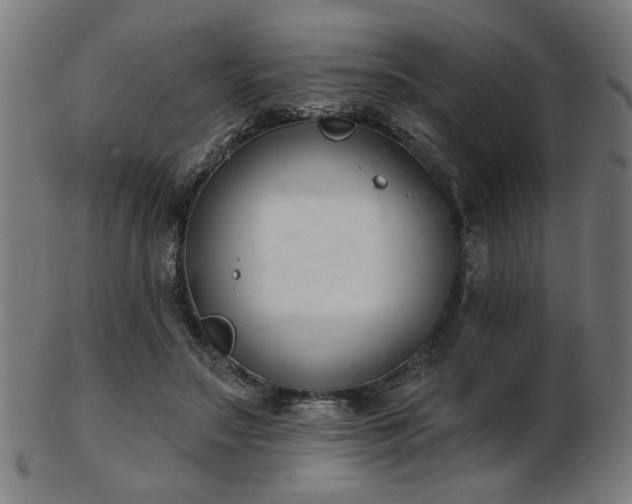 X0000103420499200809121310