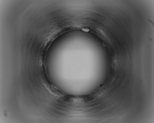 X0000103420500200809121310