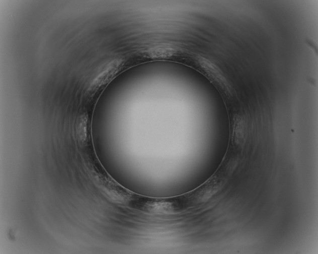 X0000103420501200809121310