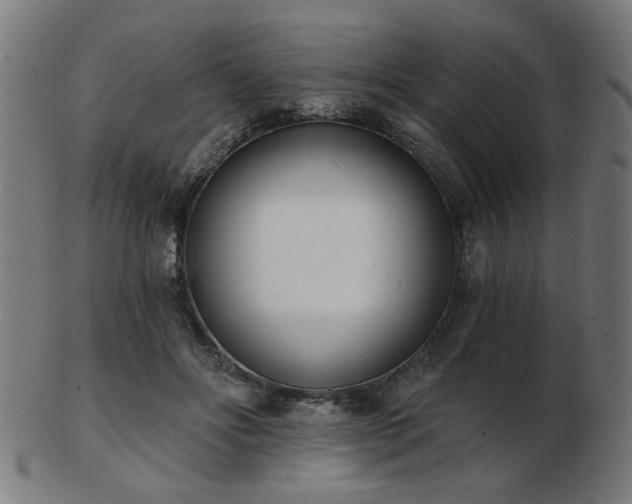 X0000103420502200809121310