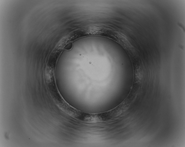 X0000103420503200809121310