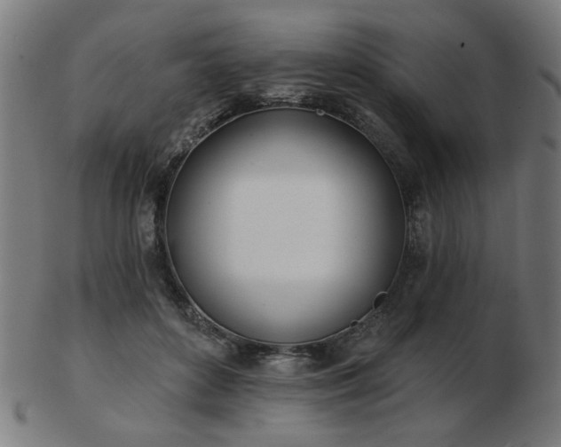 X0000103420504200809121310