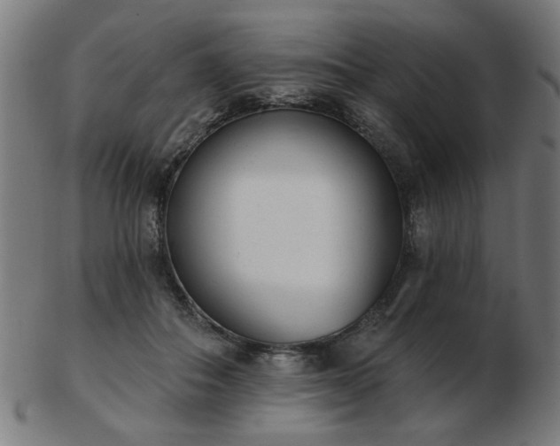 X0000103420506200809121310