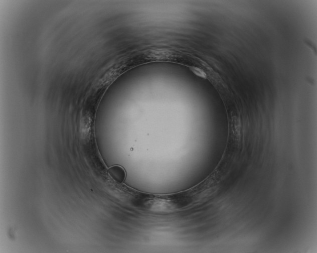 X0000103420507200809121310