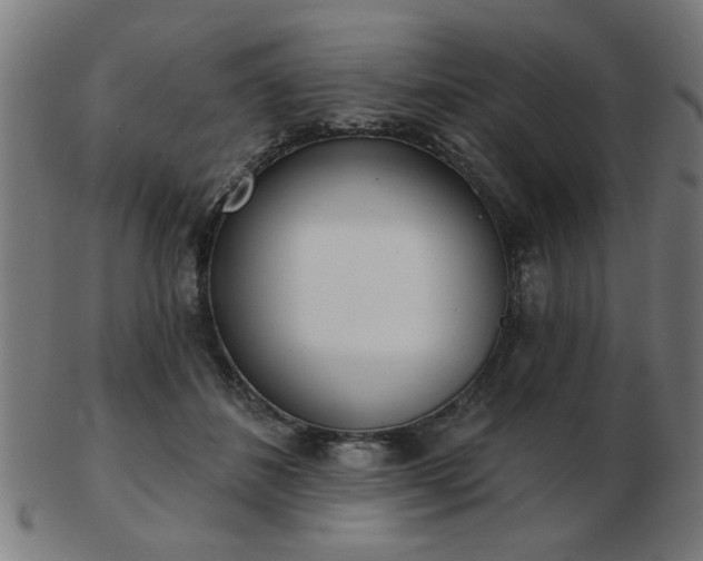 X0000103420508200809121310