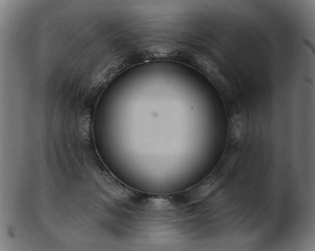 X0000103420509200809121310