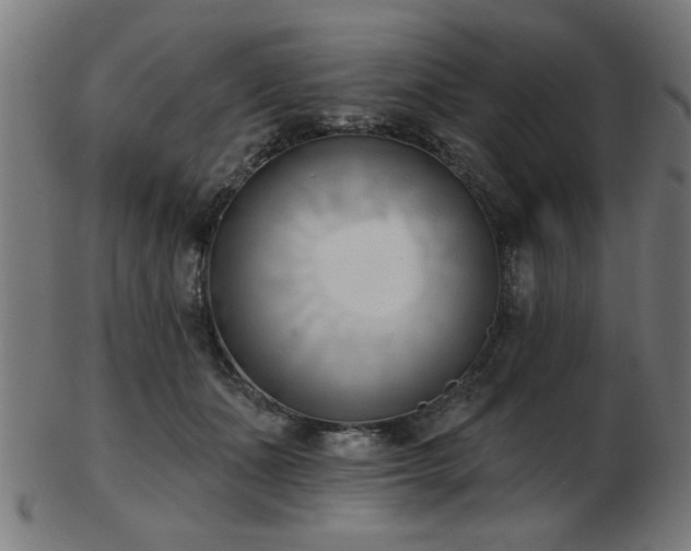 X0000103420511200809121310