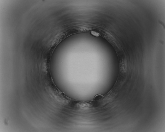 X0000103420512200809121310