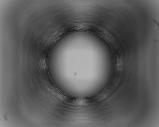 X0000103420514200809121310