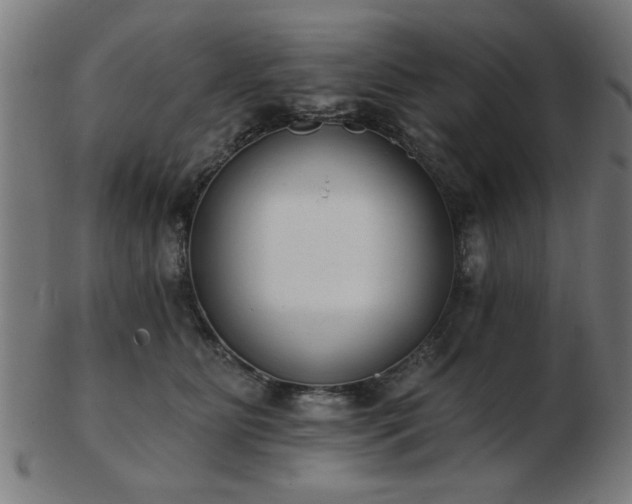 X0000103420515200809121310